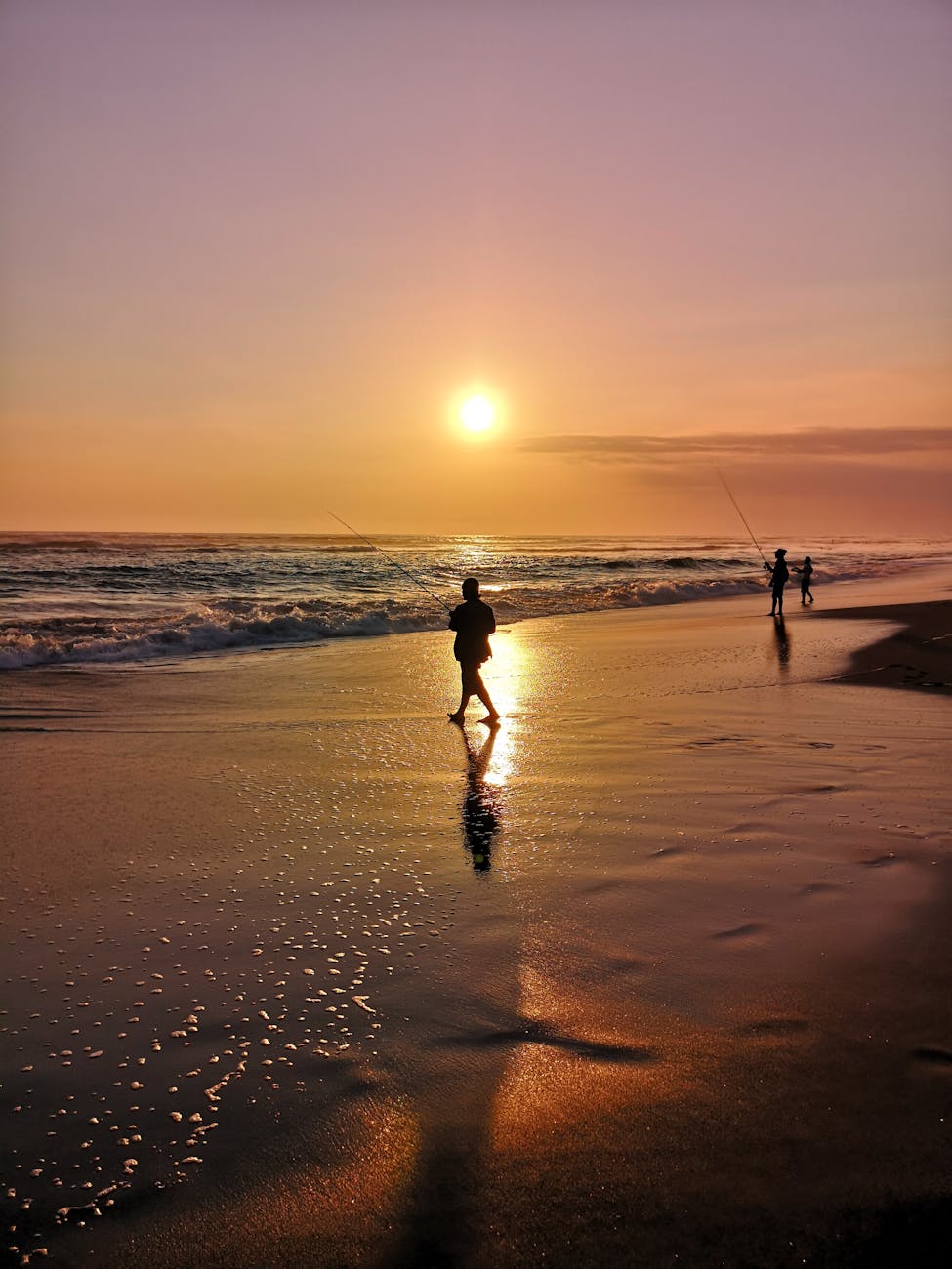 silhouette of people fishing along the seashore