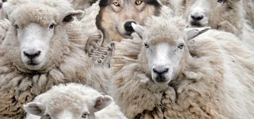 wolf in sheep clothing